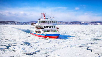 第十七届宁夏沙湖冬季旅游节11月28日正式启动