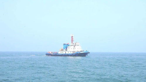 国家首次海上搜救无脚本实战演练在曹妃甸海域举办
