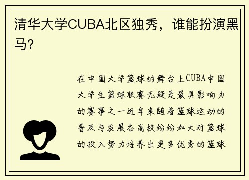 清华大学CUBA北区独秀，谁能扮演黑马？